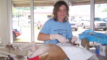 Dr. Robin Brennen operating in Grand Bahama